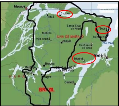 Figura 2. Arquipélago do Marajó 
