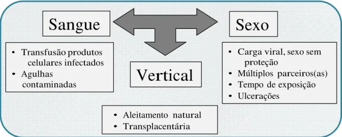 Figura  13:  Formas de transmissão do HTLV entre humanos  Fonte: CARNEIRO-PROIETTI et al., 2006 (modificado) 