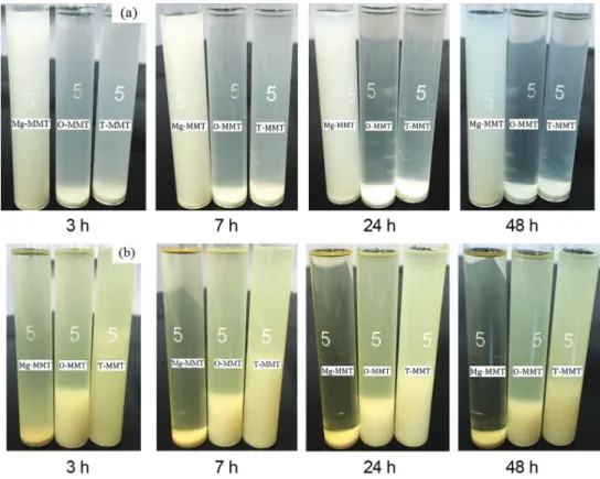 Figure 7. Dispersibility of Mg-MMT and modified MMT in (a) deionized water and (b) oleic acid.