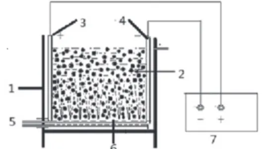 Figure 1. Schematic diagram of the 3D electrode reactor: (1) PVC reactor; 