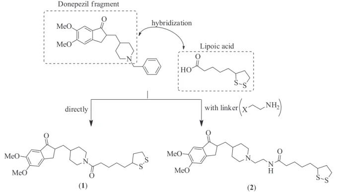 Figure 3. Design strategy for hybrids 1 and 2.