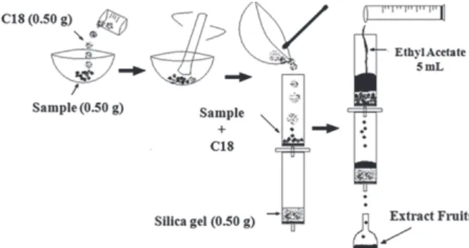 Figure 1. General schematics of the matrix solid phase dispersion (MSPD)  extraction approach utilized in this work.