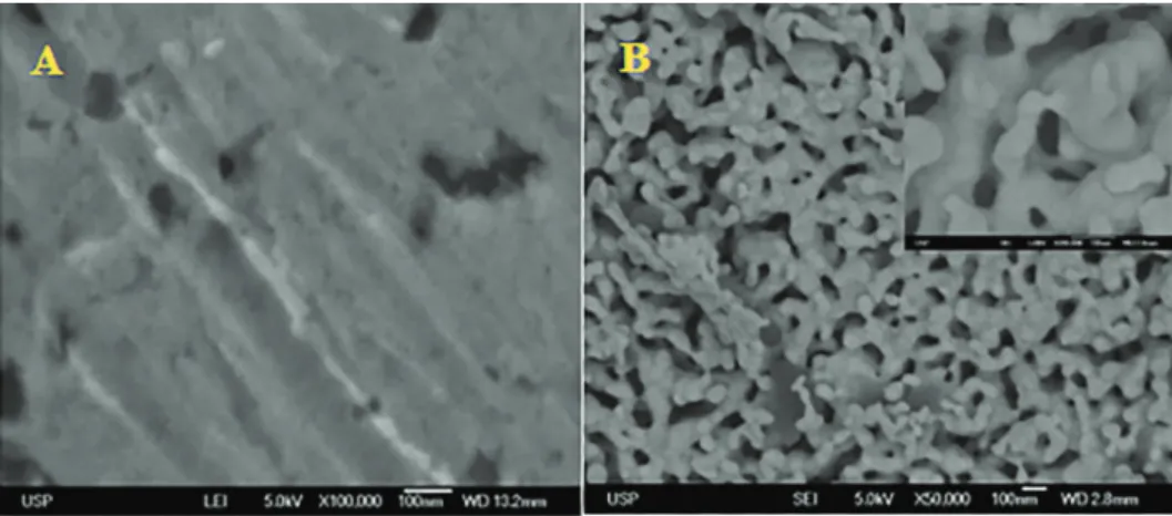 Figure 1. FE-SEM images of bare Au (A) and NPGF electrode (B).