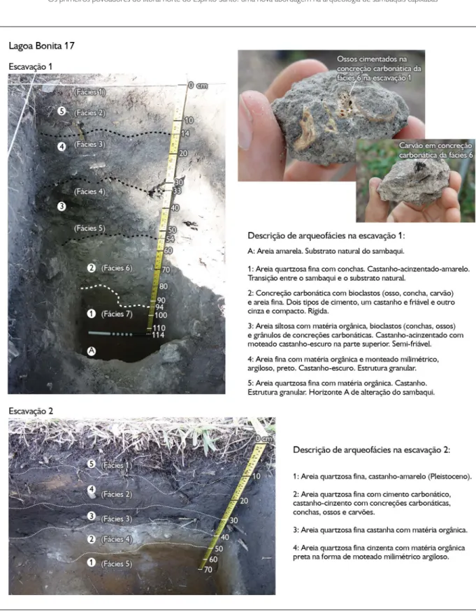 Figura 4. Sucessão estratigráfica das escavações 1 e 2 do sambaqui Lagoa Bonita 17, com identificação das fácies apresentadas durante a  escavação e a descrição das arqueofácies identificadas no estudo dos perfis