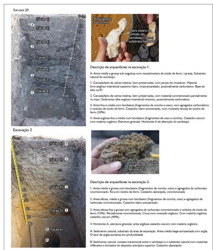 Figura 6. Sucessão estratigráfica das escavações 1 e 2 do sambaqui Suruaca 20, com identificação das fácies apresentadas durante a escavação  e a descrição das arqueofácies identificadas no estudo dos perfis