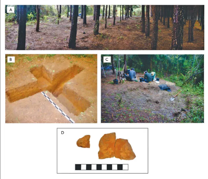 Figura 4. Prancha de fotos do sítio arqueológico Tobias Wagner: A) visão geral do sítio Tobias Wagner; B) estrutura subterrânea (E01) após  escavação; C) escavação sendo realizada na área 1 - E01 em primeiro plano; D) exemplos de vestígios cerâmicos coleta
