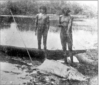Figura 4. A pesca do pirarucu no Araguaia pelos índios Carajá. “O  cliché foi tomado do filme ‘No coração do Brasil’, interessante trabalho  do sr