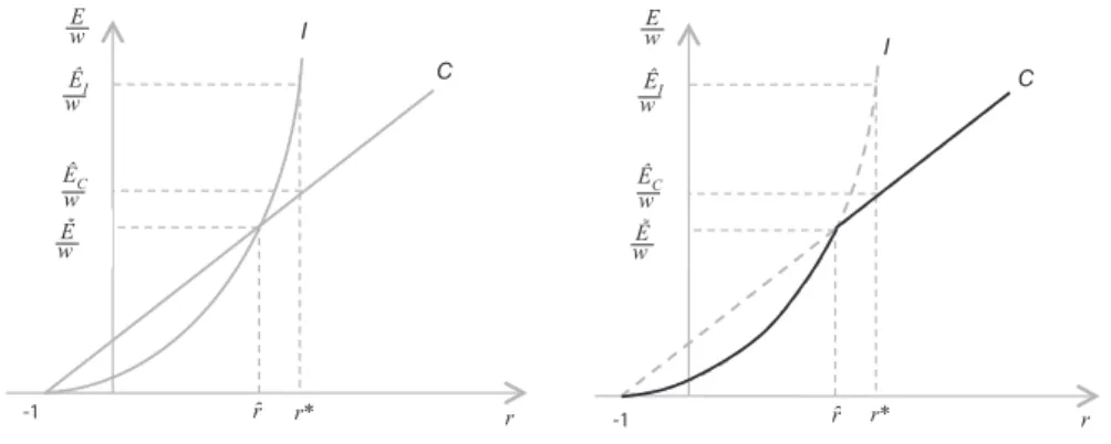 Figure 1:  E/w – r  CURVE E w I C   IÊICwÊCr*rr* rww-1-1EwÊIwÊCww