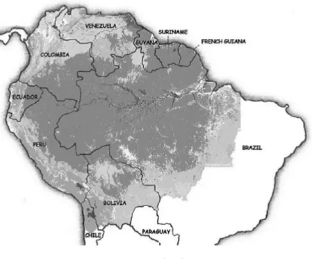 Figure 1 – The Amazon Forest