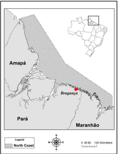 Figura  4:  Costa  norte  Brasileira.  Litoral  dos  estados  do  Amapá,  Pará  e  Maranhão