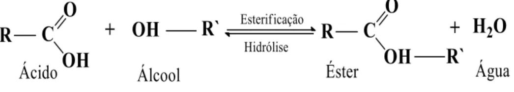 Tabela 2: Vantagens e desvantagens do uso de metanol e etanol na transesterificação de óleos  vegetais