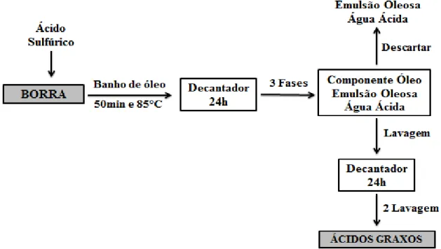 Figura 10: Fluxograma da reação de saponificação do componente óleo 