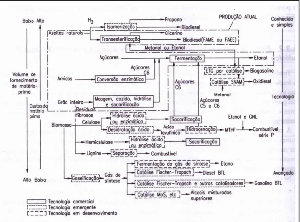 Figura 1- Rotas tecnológicas para produção de biocombustiveis  Fonte: NEXANT [39] 