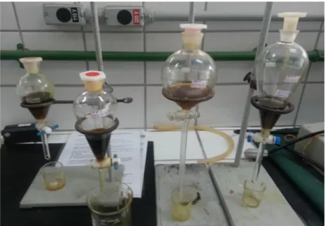 Figura 4.18- Processo de Decantação do PLO produzido na Unidade de Bancada. 