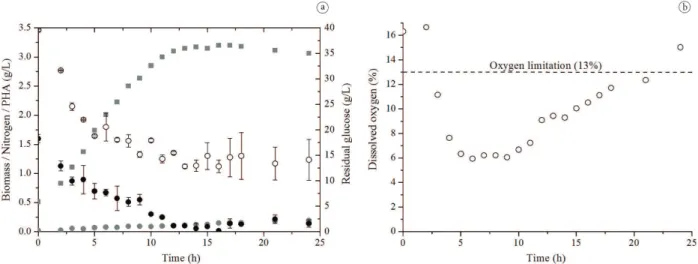 Figure 1. Culture 1: (a) kinetics for biomass parameters (■), residual nitrogen (●), residual glucose (○) and PHA (●); (b) dissolved oxygen in  the culture medium.