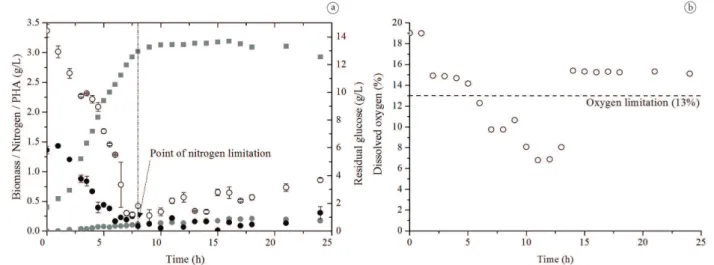 Figure 2. Culture 2: (a) kinetics for biomass parameters (■), residual nitrogen (●), residual glucose (○) and PHA (●); (b) dissolved oxygen in  the culture medium.