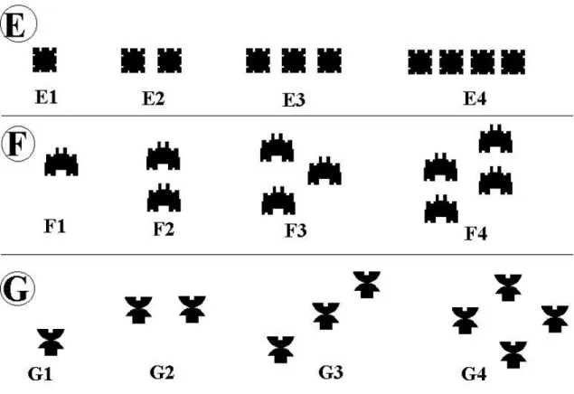 Figura 2 – Conjuntos de estímulos usados na fase de generalização. 