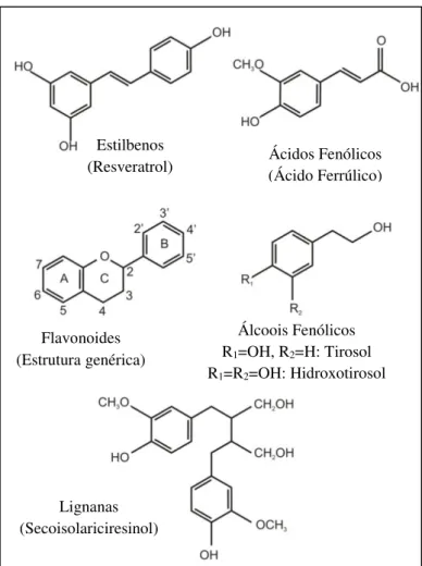 Figura 3. Estrutura química dos principais grupos de compostos fenólicos.  