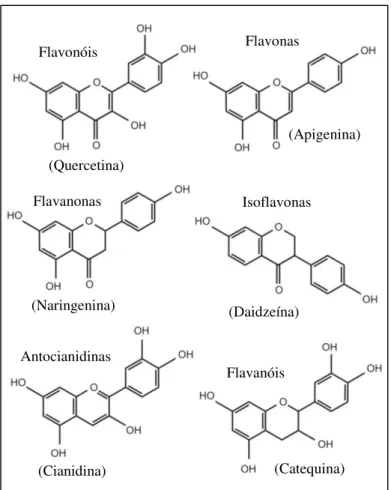 Figura 4. Estrutura química dos flavonoides. 