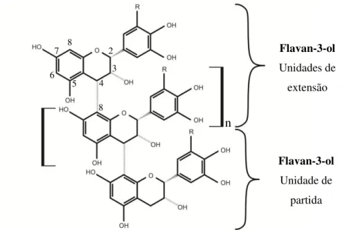 Figura 6. Estrutura geral de proantocianidinas (R = OH: prodelfinidinas; R = H: procianidinas)