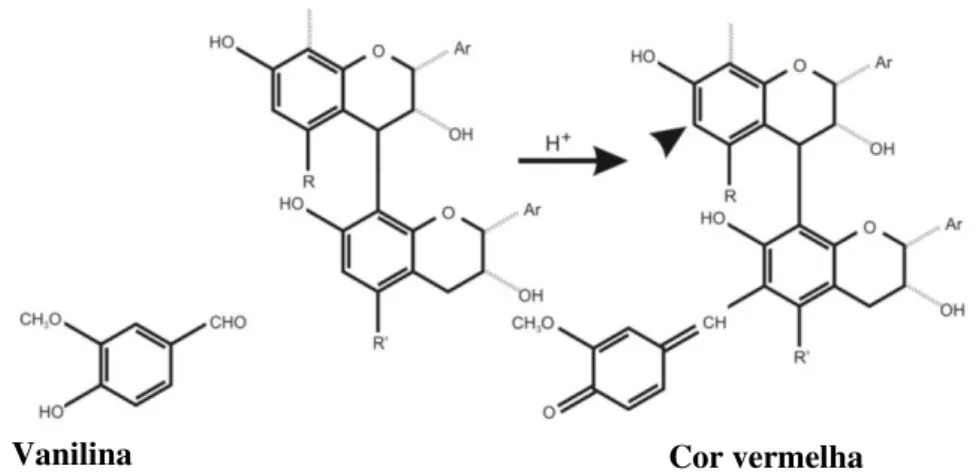 Figura 7. Química do método da vanilina para taninos condensados. A seta aponta para um segundo  local potencialmente reativo