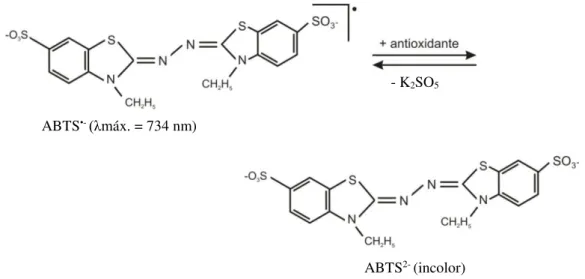 Figura 11. Estabilização do radical ABTS ·+  por antioxidante e sua formação pelo persulfato de  potássio