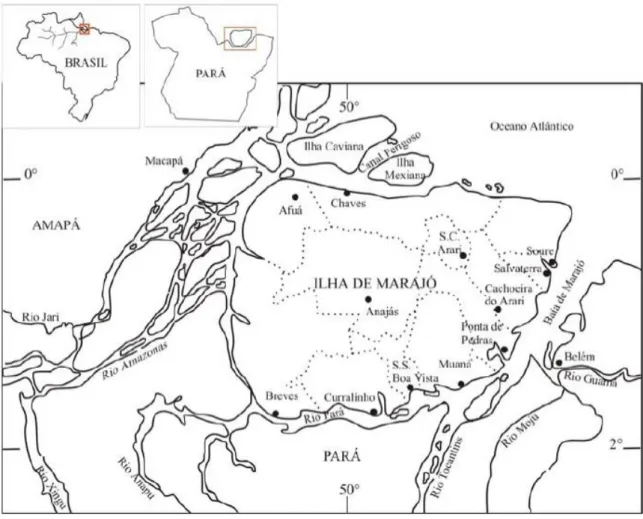 Figura 2: Ilha de Marajó com 12 municípios, limitada pela Baia de Marajó, rio Pará e  Oceano Atlântico