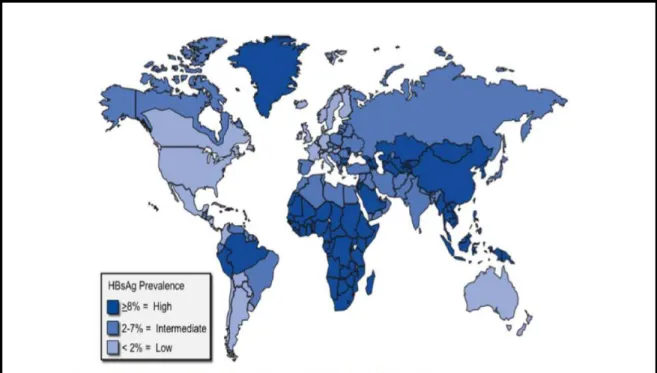 Figura 6. Prevalência mundial do HBV. 
