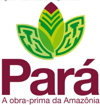 Figura 8 – Marca turística e slogan do Pará 