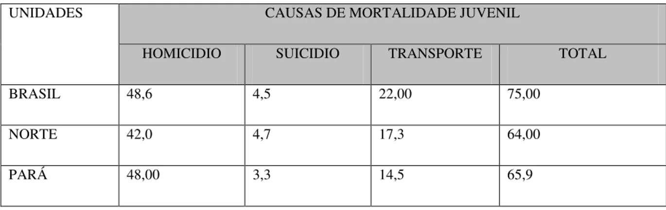 Tabela 5: Taxas (em 100.000) de mortes juvenis violentas segundo causas no Brasil - Região  norte e estado do Pará- 2005