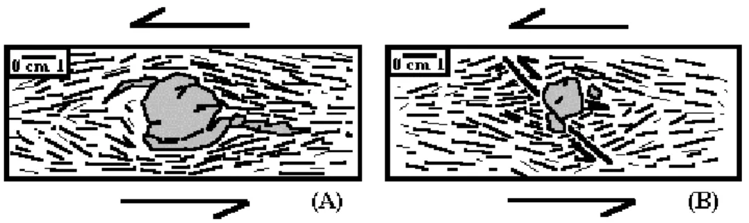 Figura 4 - Ilustração mostrando megacristais de plagioclásio deformacionalmente rotacionados, que servem  como indicadores cinemáticos do movimento das ZCT sobre os diques de anﬁ  bolito