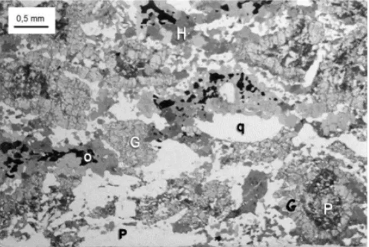 Figura 7 - Coronas de granada (G) ao redor de cristais  alterados de plagioclásio (P), sob nicóis cruzados
