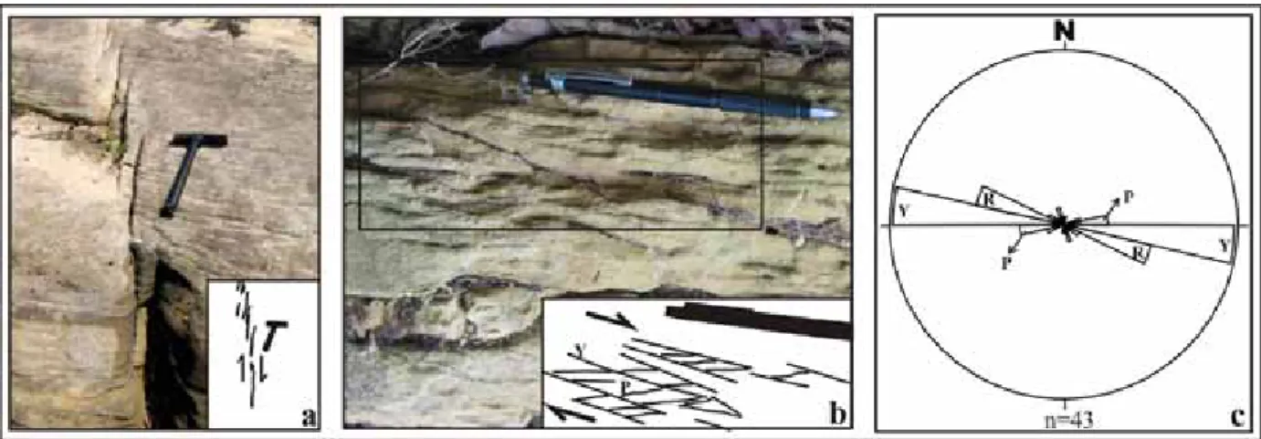 Figura 5 - Fotos e diagrama da fase F 1 . a) sistema de fraturas Riedel com cinemática destral - arenito  da Formação Maecuru