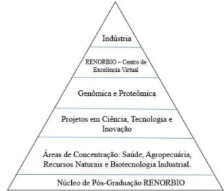 Figura 1 – Organização das principais metas da Rede  Nordeste de  Biotecnologia (RENORBIO)