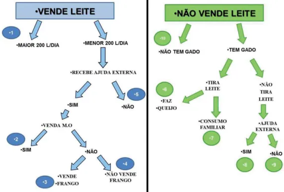 Figura 2 – Representação esquemáƟ  ca dos dez sistemas de produção de assentamentos de  reforma agrária do município de Unaí, MG