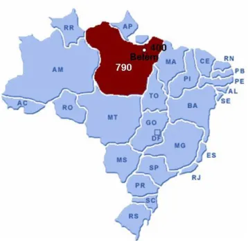 Figura  4  –   Estimativa  dos  casos  novos  de  câncer  no  Brasil  e  no  estado  do  Pará,  no  período de 2008 a 2009 (Adaptado, INCA 2008)