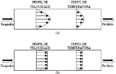 Figura 2.1: Esquemas dos (a) escoamento laminar, (b) escoamento pistonado (plug-flow)  A Figura  2.1a mostra um reator onde existe variação  das propriedades em  uma  das  direções,  consequentemente  em  um  equipamento  que  opere  sob  esta  condição é 