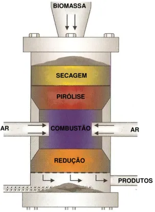 Figura 3.2 – Esquema de um gasificador co-corrente. 