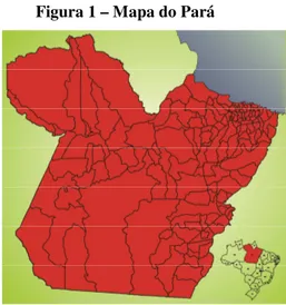 Tabela 1 – Pará: síntese do território. 