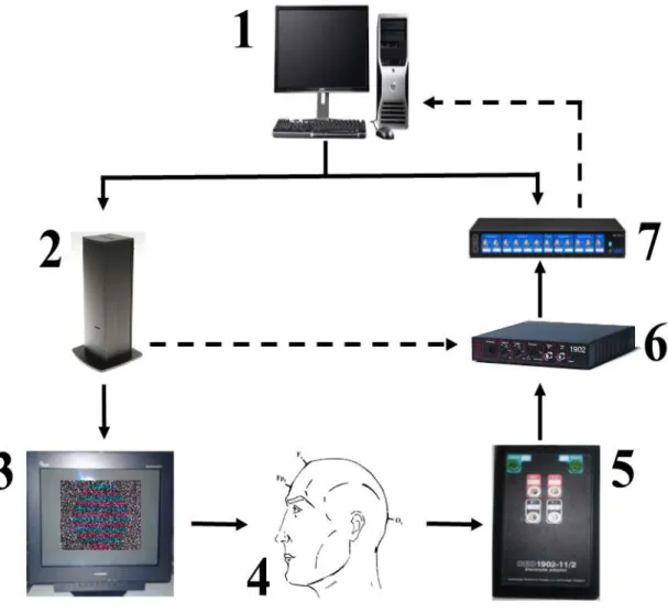 Figura  1. Esquema  do sistema  de registro  e estimulação  do potencial  cortical  provocado  visual