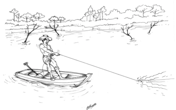 Figura 6. Pesca de andada no lago da UHE-Tucuruí (Ilustração: Carlos Alberto Freitas  Alvarez)