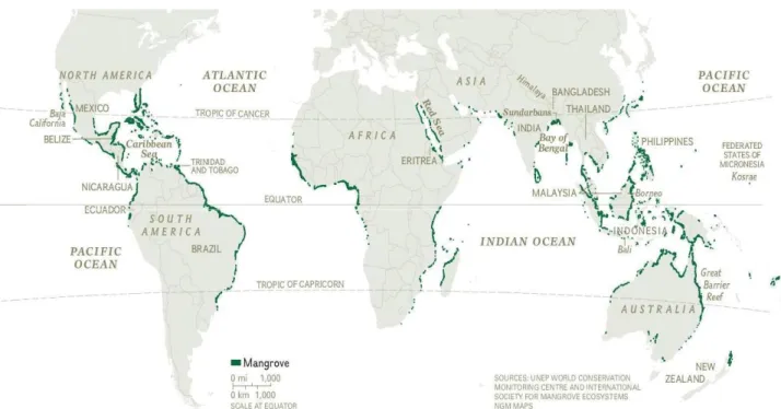 Figura 5: Áreas de mangue no planeta. 
