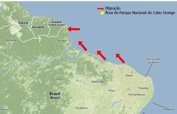 Figura 8: Área de migração das grandes embarcações que vão pescar no extremo  norte do Brasil, em águas amapaenses