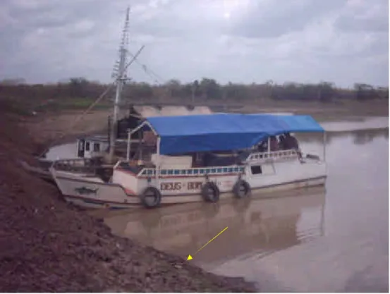 Figura 5.  Principal meio de transporte de pescado da ilha de Marajó para o Mercado do  Ver-o-Peso: “geleira” atracada na barragem (seta) entre o rio  e o lago  Arari.