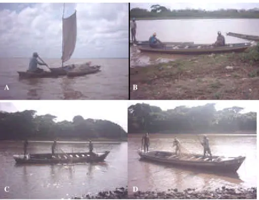 Figura 6. Canoas utilizadas na pesca do tamoatá no lago Arari, ilha de Marajó: (A) canoa a  remo e vela; (B) canoa a remo; e (C e D) canoa a motor
