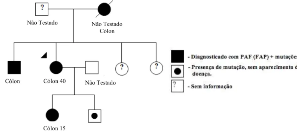 Figura 9. Heredograma da família PAF2 afetada pela polipose adenomatosa familial. 