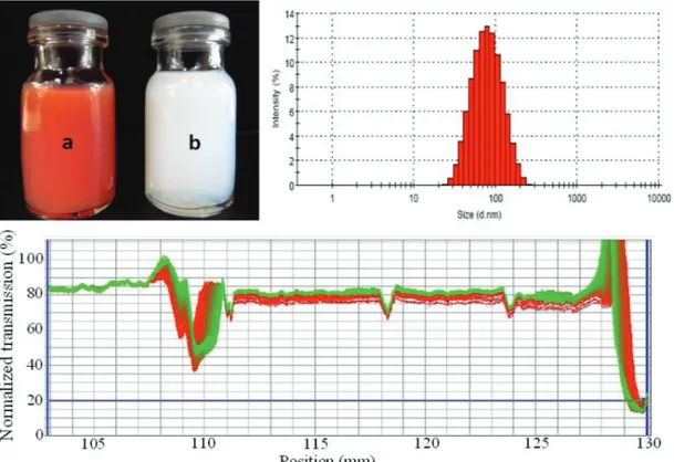 Figure 2. Photoimages of unloaded NE formulations prepared using a low- low-energy emulsification method