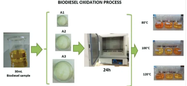 Figure 1. Scheme of the accelerated oxidation process of biodiesel derived from waste cooking oil