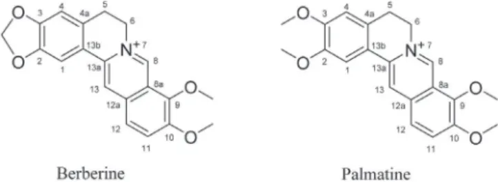 Figure 1.  Structures of the compounds from Phellodendri Cortex