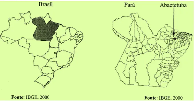 Figura 1 – Mapa do Brasil,do Pará e Microrregião de Cametá 
